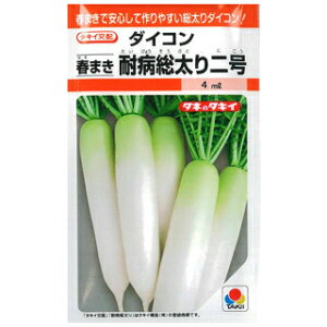 ダイコン 種 【 春まき耐病総太り二号　ＲＦ 】 4ｍｌ（約160粒） （ 種 野菜 野菜種子 野菜種 ）