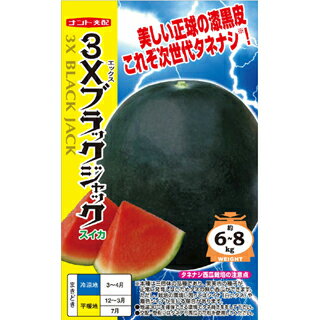 スイカ 種 【3Xブラックジャック】 8粒 種 野菜 野菜種子 野菜種 