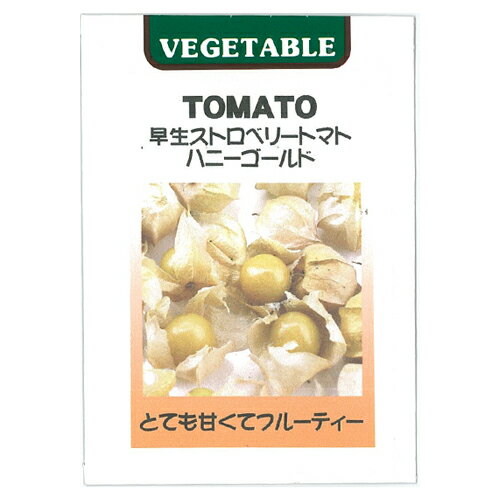 【 食用ほおずき ストロベリートマト ハニーゴールド 】 種子 小袋 （ 種 野菜 野菜種子 野菜種 ゴールデンベリー ス…