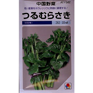 樂天商城 - 中国野菜 種 【 つるむらさき（青軸） 】 1dl ( 中国野菜の種 )