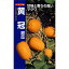 マクワウリ 種 【 黄冠 】 20ml ( マクワウリの種 ) 5,830円