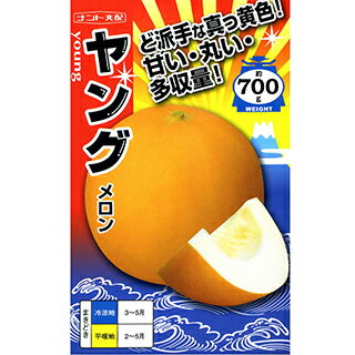 メロン 種  100粒 ( メロンの種 )