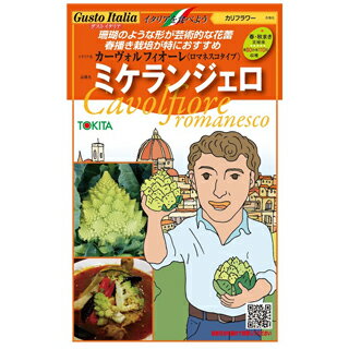 カリフラワー（ロマネスコ) 種小袋 約50粒（ 野菜種 西洋野菜 グストイタリア ）