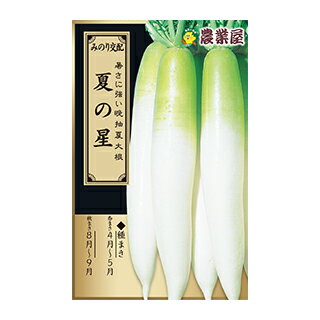 ダイコン 種 【 夏の星 】 小袋 ( ダイコンの種 )