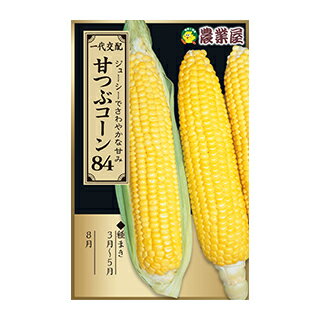 トウモロコシ 種 【 甘つぶコーン84 】 小袋 ( トウモロコシの種 )