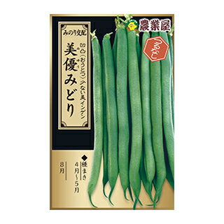 樂天商城 - つるなし菜豆 種 【 美優みどり 】 小袋 ( つるなし菜豆の種 )