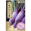 大根 種 【味ぴかいち紫】 2ml(約100粒)( 種 野菜 野菜種子 野菜種 )
