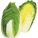 白菜 種 【 冴黄90 】 種子 小袋（1．5ml） （ 種 野菜 野菜種子 野菜種 ）