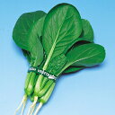 小松菜 種 【はかた小松菜】 小袋(8ml) ( 種 野菜 野菜種子 野菜種 )