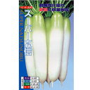大根 種 【 スーパー夏信 】 種子 2dl ( 種 野菜 野菜種子 野菜種 )