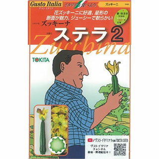 ズッキーニ 種 【ステラ2】 8粒 （ 種 野菜 野菜種子 野菜種 ）