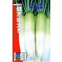大根 種 【 健志総太り 】 種子 小袋(約20ml) ( 種 野菜 野菜種子 野菜種 )