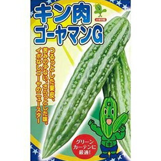 ゴーヤ 種  種子 小袋（約8粒） （ 種 野菜 野菜種子 野菜種 ）