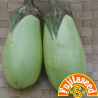Summer Vegetables - ナス 種 【 翡翠ナス 】 小袋 ( ナスの種 )