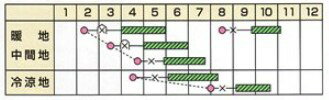 ズッキーニ 種 【 グリーンボート1号 】 100粒 ( ズッキーニの種 )