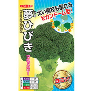 格安 Saleブロッコリー 種 夢ひびき ペレット5千粒 ブロッコリーの種 菜園くらぶ 家庭菜園の専門店