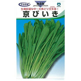 壬生菜 種 【 京びいき 】 小袋(20ml) ( 壬生菜の種 )