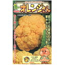 カリフラワー 種 【 オレンジさん 】 小袋(15粒) ( カリフラワーの種 )