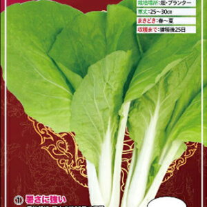 葉菜 種 【 べかな 台湾小白菜 】 小袋(10ml) ( 葉菜の種 )