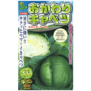 樂天商城 - キャベツ 種 【 おかわりキャベツ 】 小袋（20ml） ( キャベツの種 )