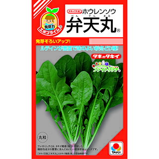 ほうれん草 種 【 弁天丸 】 小袋(RF 40ml) ( ほうれん草の種 )