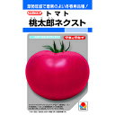 トマト 種 【 桃太郎ネクスト DF 】 小袋(16粒) ( トマトの種 )