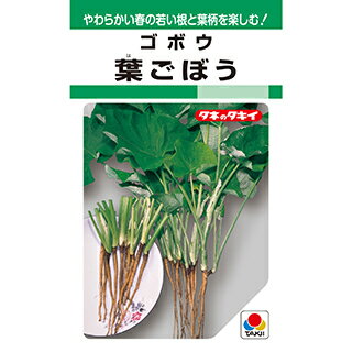 ゴボウ 種 【 葉ごぼう 】 小袋(GF 9ml) ( ゴボウの種 )のサムネイル