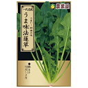 ほうれん草 種  20ml（ ほうれん草の種 )