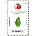 ミニトマト 種 【サリーナエメラルド】 小袋(8粒) ( 種 野菜 野菜種子 野菜種 )