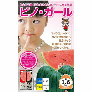 楽天【菜園くらぶ】家庭菜園の専門店スイカ 種 【 ピノ・ガール 100粒 】 （ スイカの種 ）