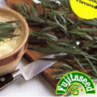 ハーブ 種 【 ロシアンタラゴン 】 小袋 ( ハーブの種 )