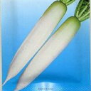 大根 種 【 美春 】 種子 2dl ( 種 野菜 野菜種子 野菜種 )