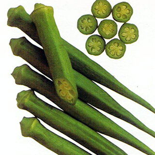 樂天商城 - オクラ 種 【島オクラ】 1L （ 種 野菜 野菜種子 野菜種 ）