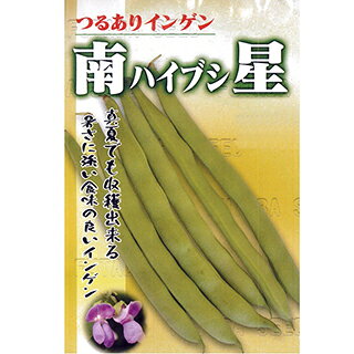 樂天商城 - つるありいんげん 種 【南星（ハイブシ）】 1L （ 種 野菜 野菜種子 野菜種 ）