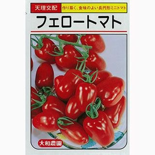 ミニトマト 種 【フェロー】 約30粒 （ 種 野菜 野菜種子 野菜種 ）