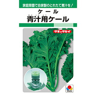 ケール 種 【 青汁ケール 】 小袋 約5.0ml ケールの種 