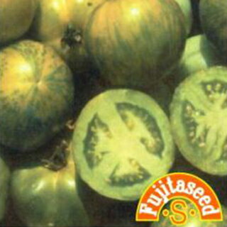 トマト 種 【 グリーントマト 】 小袋 ( トマトの種 )