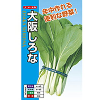 メール便で10袋まで同梱できます。 種子と責任種子は努めて純良なものをご用意しておりますが、商品の性質上100%の純度や発芽は望めません。商品の包装等に記載のある、発芽試験結果を満たした商品をお届けいたします。発芽は播種後の条件により結果が異なるため、温度や水分などを品目ごとに適した条件下で管理してください。不適条件下では発芽しないことがあり、また100%同一ではなく、まれに異株が出る場合がございます。種子・苗などについて、発芽後および植えつけ後の栽培条件や天候などによって結果が異なりますので、商品の生長後や収穫物に対する補償はいたしかねます。また商品の性質上、結果不良につきましてはお買い上げ金額の範囲内とさせていただきます。(お客様の栽培管理や気象条件による結果不良につきましては、その責任を負いかねます)独自に加工されたものや、お届け後に有効期限を超えられたものにつきましては責任を負いかねます。野菜などの収穫物については、品種の特性や栽培条件などにより生育に差が生じることがあり、収穫物のサイズ、重量、味などは掲載表現と異なる場合がございます。大阪しろな一年中手軽に作れる耐病・耐寒・耐暑性に富み、周年栽培が可能な一代交配種。高温期で25日前後、低温期で50〜60日で収穫。葉が大きく、葉柄は白く幅広で平たく曲がりが少ない為、収穫時の結束が容易で荷姿が美しい。また品質、日持ちが良い。　 地域 蒔き時期（露地） 蒔き時期(ハウス・トンネル等） 寒地・冷涼地 6月〜8月中旬 4月下旬〜5月 中間地 4月中旬〜10月 11月〜4月中旬 暖地 3月下旬〜11月中旬 11月中旬〜3月中旬 小袋種子の内容量表記について農作物である商品の特性上、小袋パッケージの商品に関しましては、販売時期により、内容量が変更になる場合があります。商品名に内容量が記載されている場合がございますが、あくまで目安であり、1mlほど前後するものとお考え下さい。また、内容量が増減したことによる価格の変更もありません。あらかじめご了承いただいた上で、ご注文をお願いいたします。