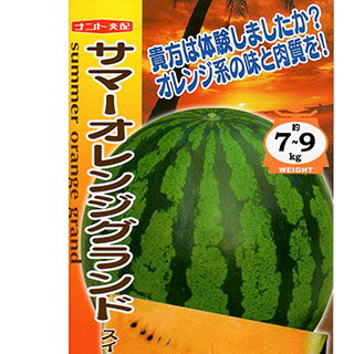 スイカ 種 【 サマーオレンジグランド 】 200粒 ( スイカの種 ) | 農業