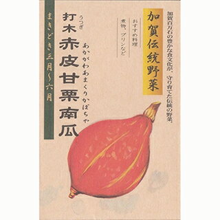 カボチャ 種 【 加賀野菜 打木赤皮甘栗南瓜 】 1L ( カボチャの種 )