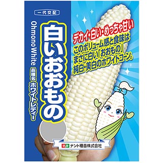 【送料無料】カナー（カイランサイ）種　タイ野菜種　約50粒