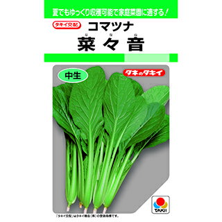 小松菜 種 【 菜々音 】 小袋(GF 5ml) ( 小松菜の種 )