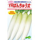 ダイコン 種 【 YRばんちゅう太 】 小袋 ( ダイコンの種 )
