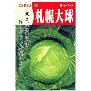 キャベツ 種 【 札幌大球 4号 さっぽろたいきゅう 】 小袋 キャベツの種 