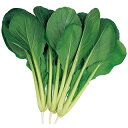 小松菜 種 【はっけい】 小袋(約20ml) ( 種 野菜 野菜種子 野菜種 )