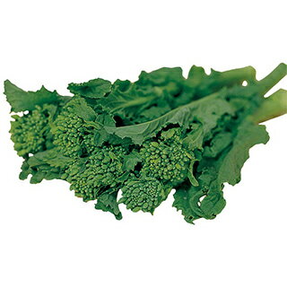 樂天商城 - 漬け菜 種 【 早陽一号花菜 】 種子 2dl （ 種 野菜 野菜種子 野菜種 ）