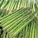 アスパラガス 種 【 ウェルカム 】 種子 20ml ( 種 野菜 野菜種子 野菜種 ) ★