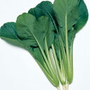 小松菜 種 【菜々子】 小袋(約20ml) ( 種 野菜 野菜種子 野菜種 )