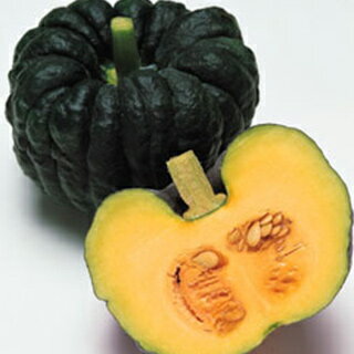 かぼちゃ 種 【はやと】 100粒 （ 種 野菜 野菜種子 野菜種 ）のサムネイル