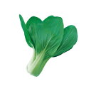 ちんげん菜 種 【 醍醐味 】 種子 2dl ( 種 野菜 野菜種子 野菜種 )